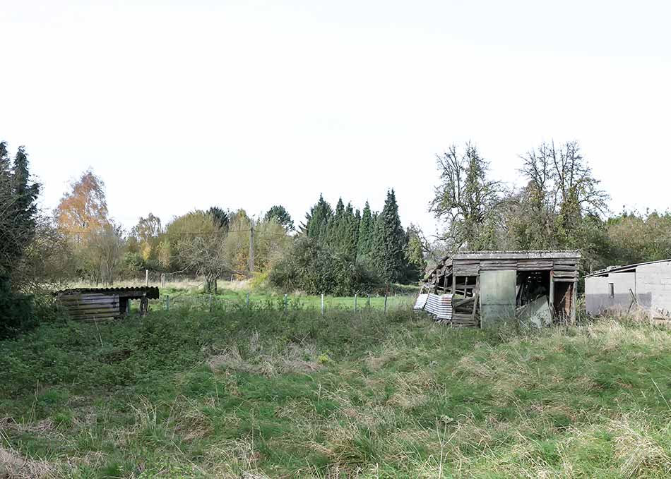 An overgrown meadow with a dilapidated stable
