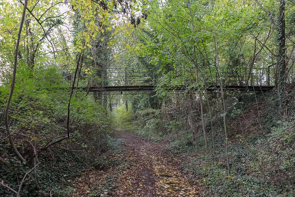A bridge over an abandoned railway line almost overgrown