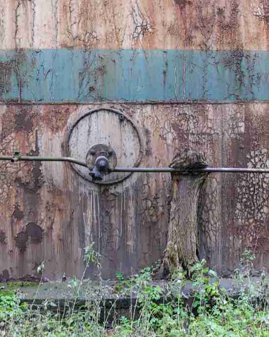An overgrown trunk on the pipe of a storage tank
