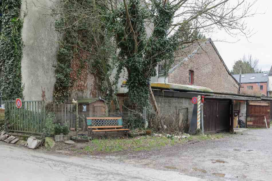 A bench under a tree with traffic signs for no stopping