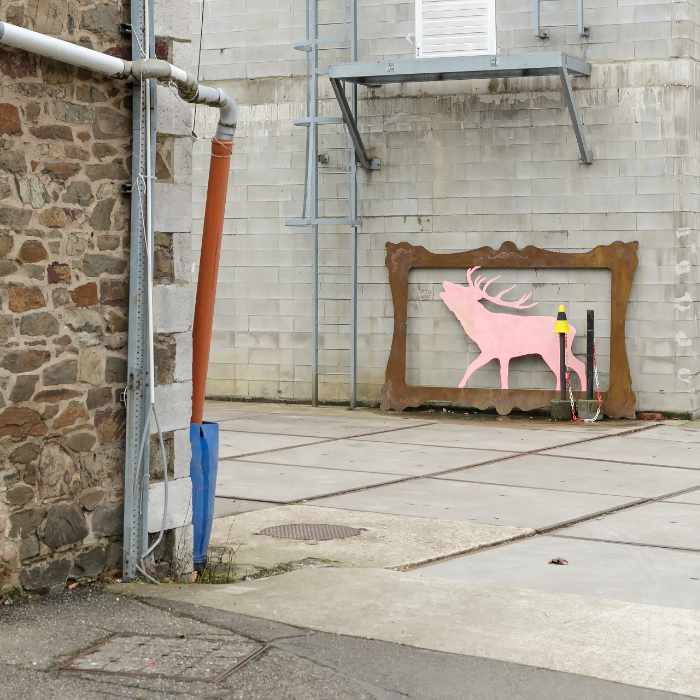 The profile of a deer in a picture frame