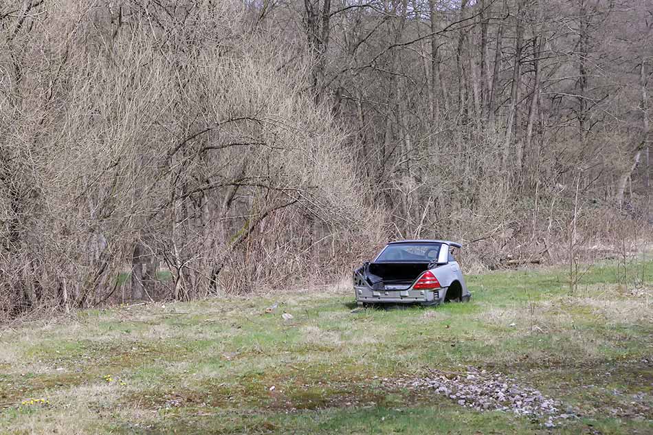 A halved car wreck in a meadow