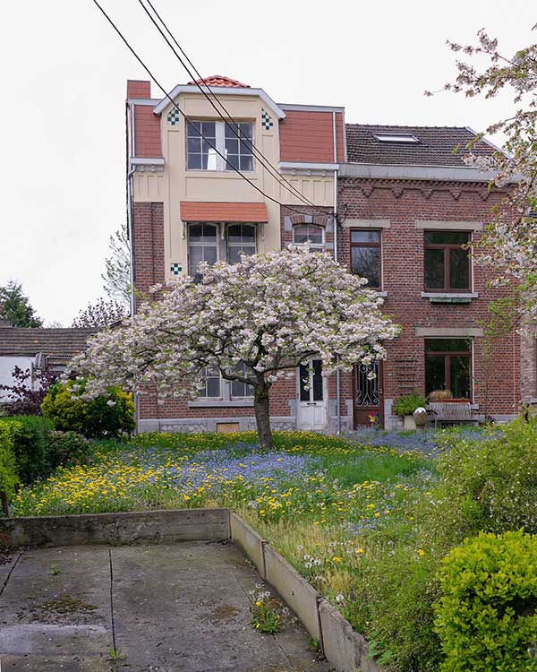 A blossoming cherry tree in the garden of an Art Deco home